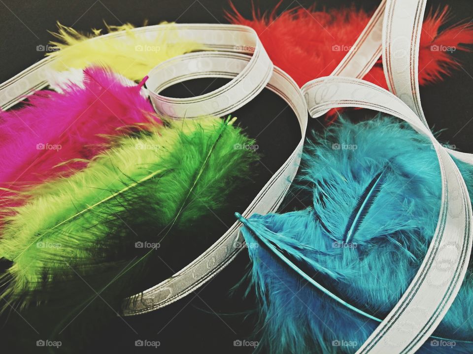 colorful feathers