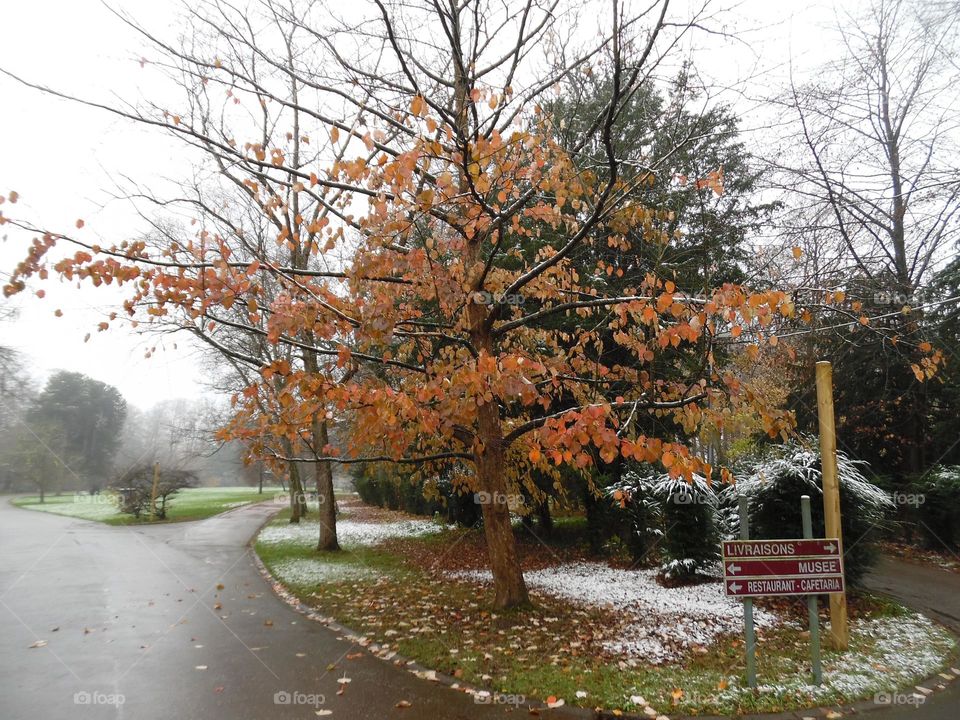 Parc de Mariemont , la Louvière