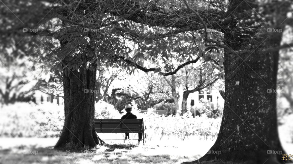Stranger on a bench