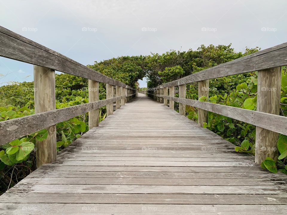 Bridge Walkway Surrounded With An Arch Of Vegetation, Plants And Trees By The Ocean That Looks Like A Doorway.