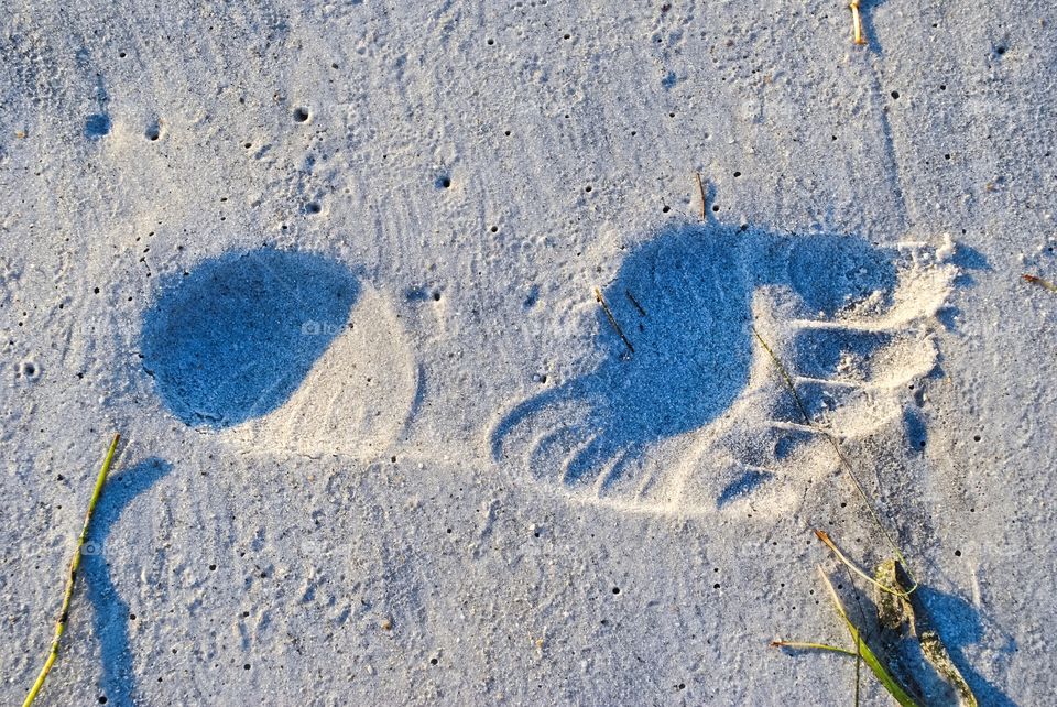 Footprint in the sand