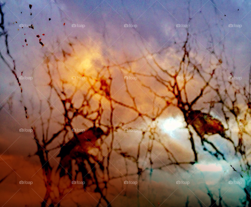 sky birds layers by mjf101471