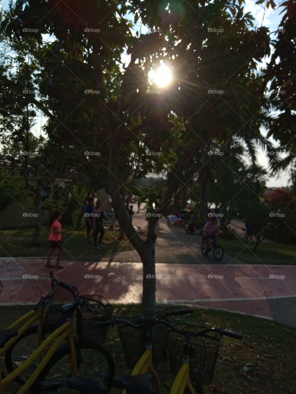 A Natureza e seus encantos