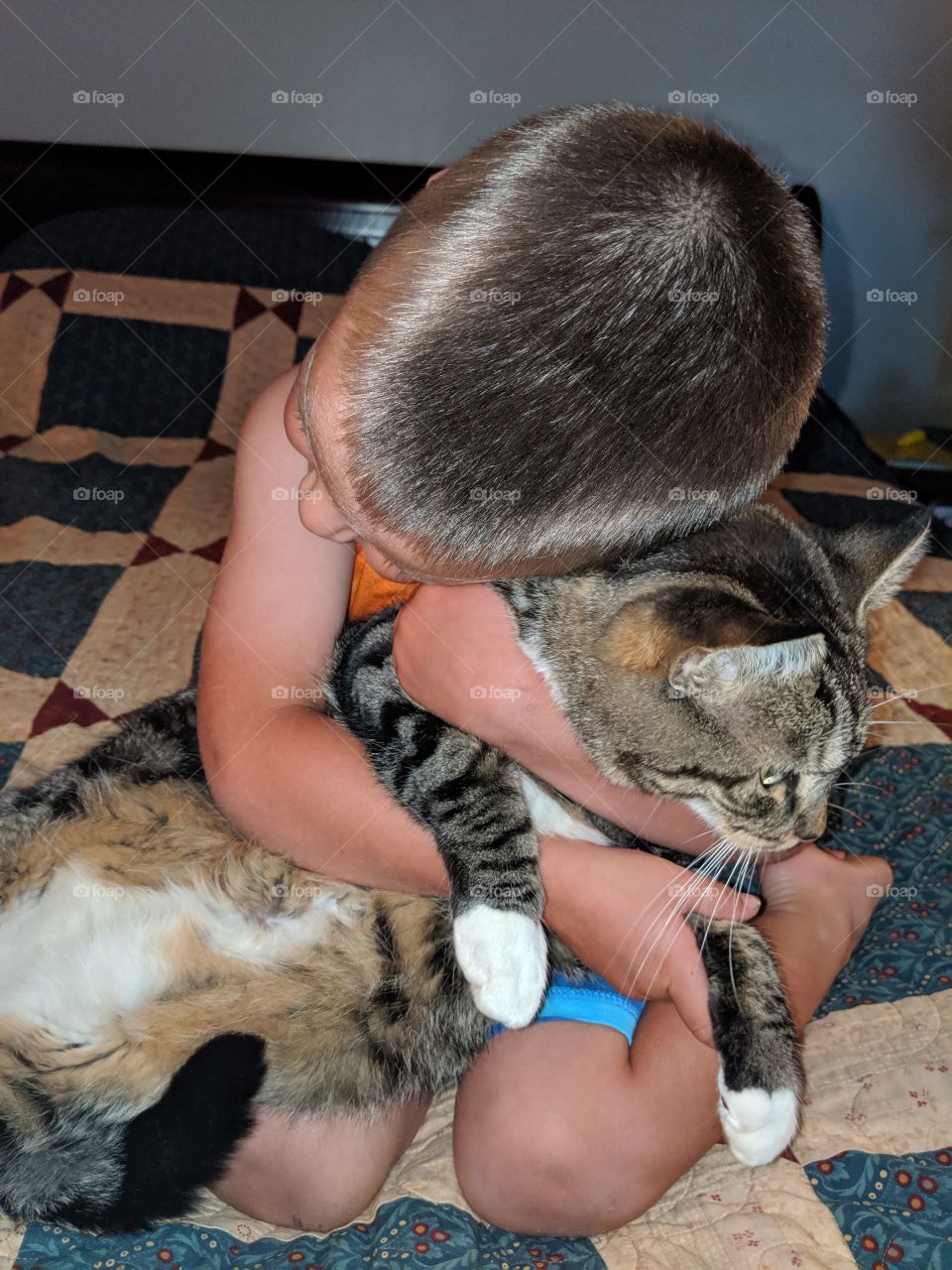 toddler boy loving his cat