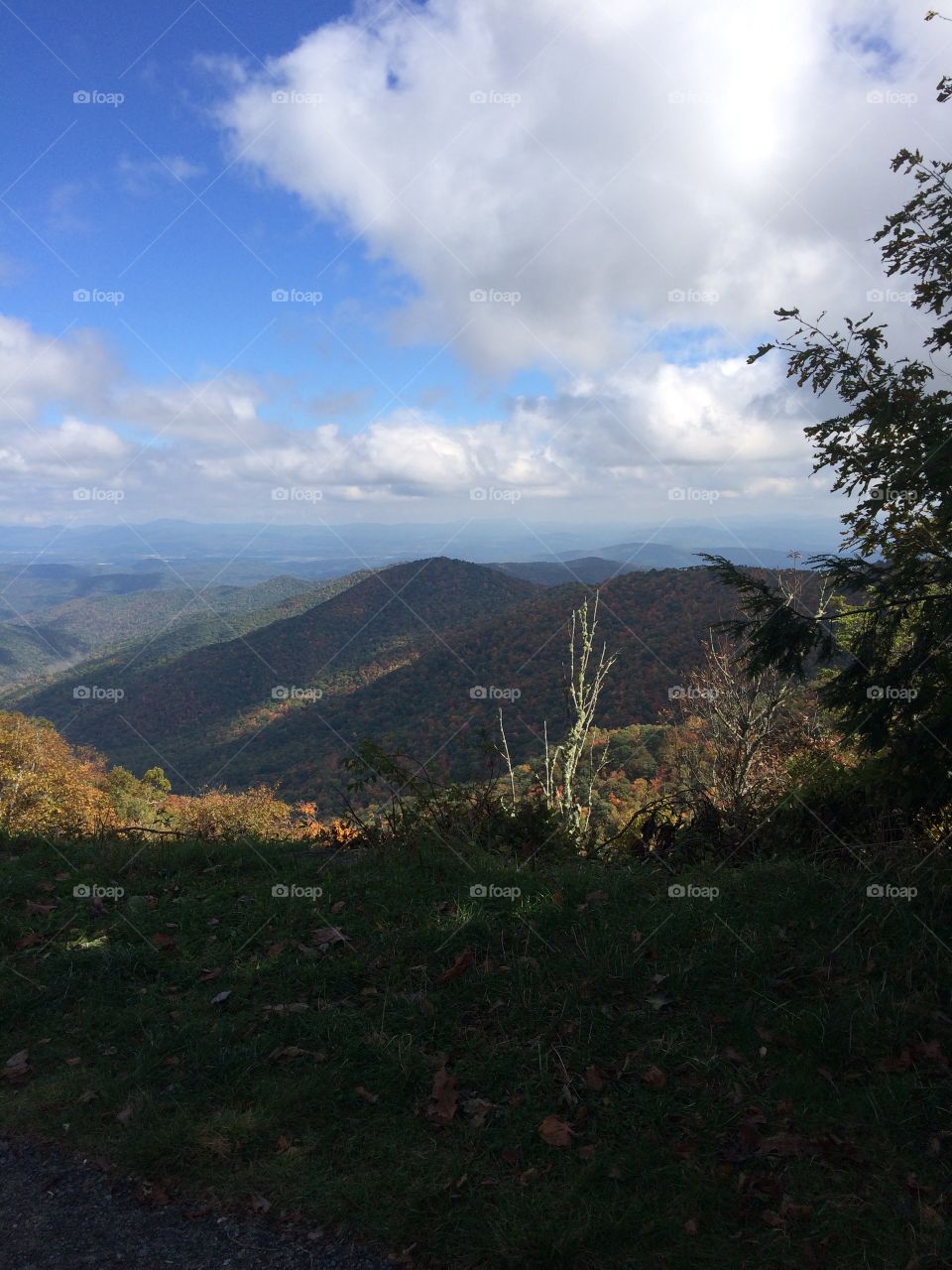 Landscape, Mountain, No Person, Nature, Tree