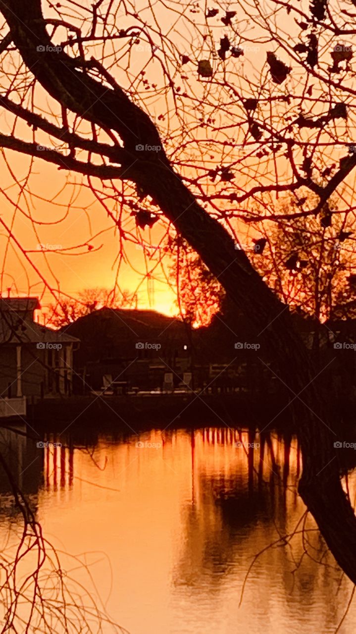 Setting Sun through trees on Lakebed reflections of shore Landscape on Lake Waters. colors casting on waters. 