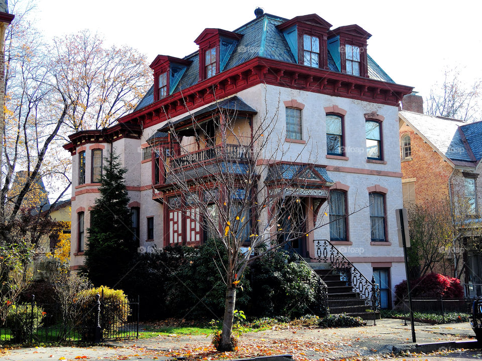 newburgh newburgh ny tree house by delvec