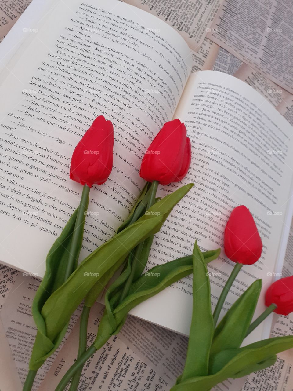open book with red tulips