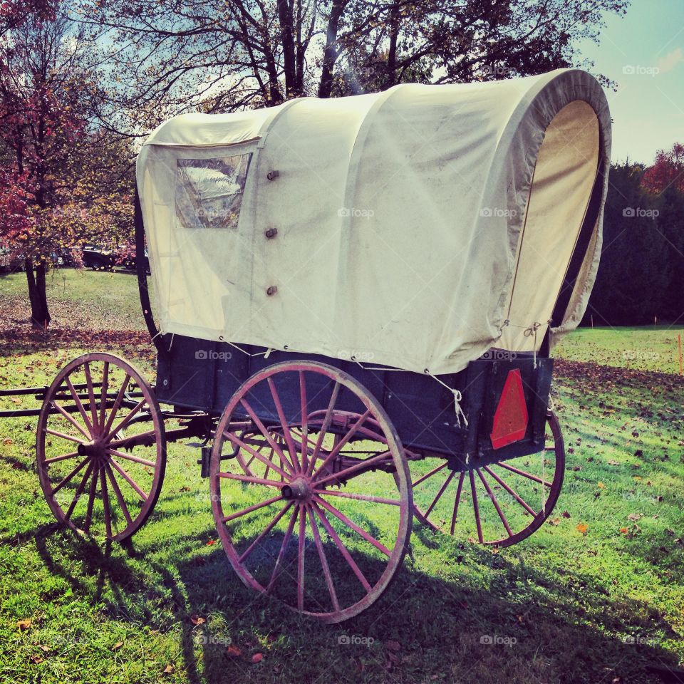Buggy carriage amish Country 