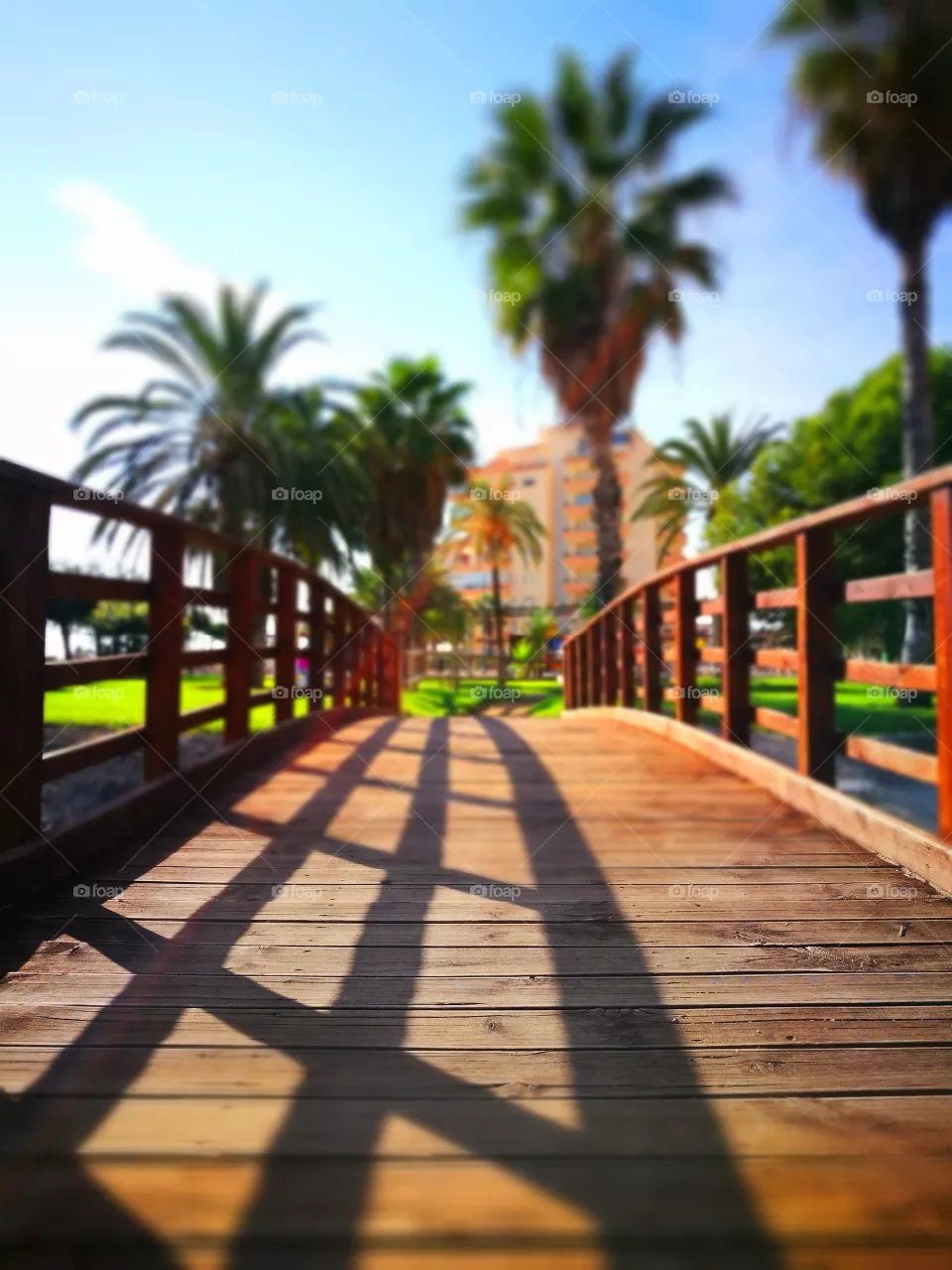 bridge