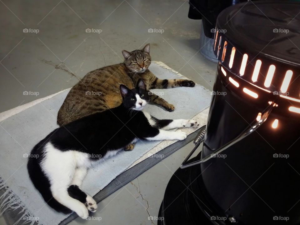 A tabby cat and a black and white cat laying by a heater together