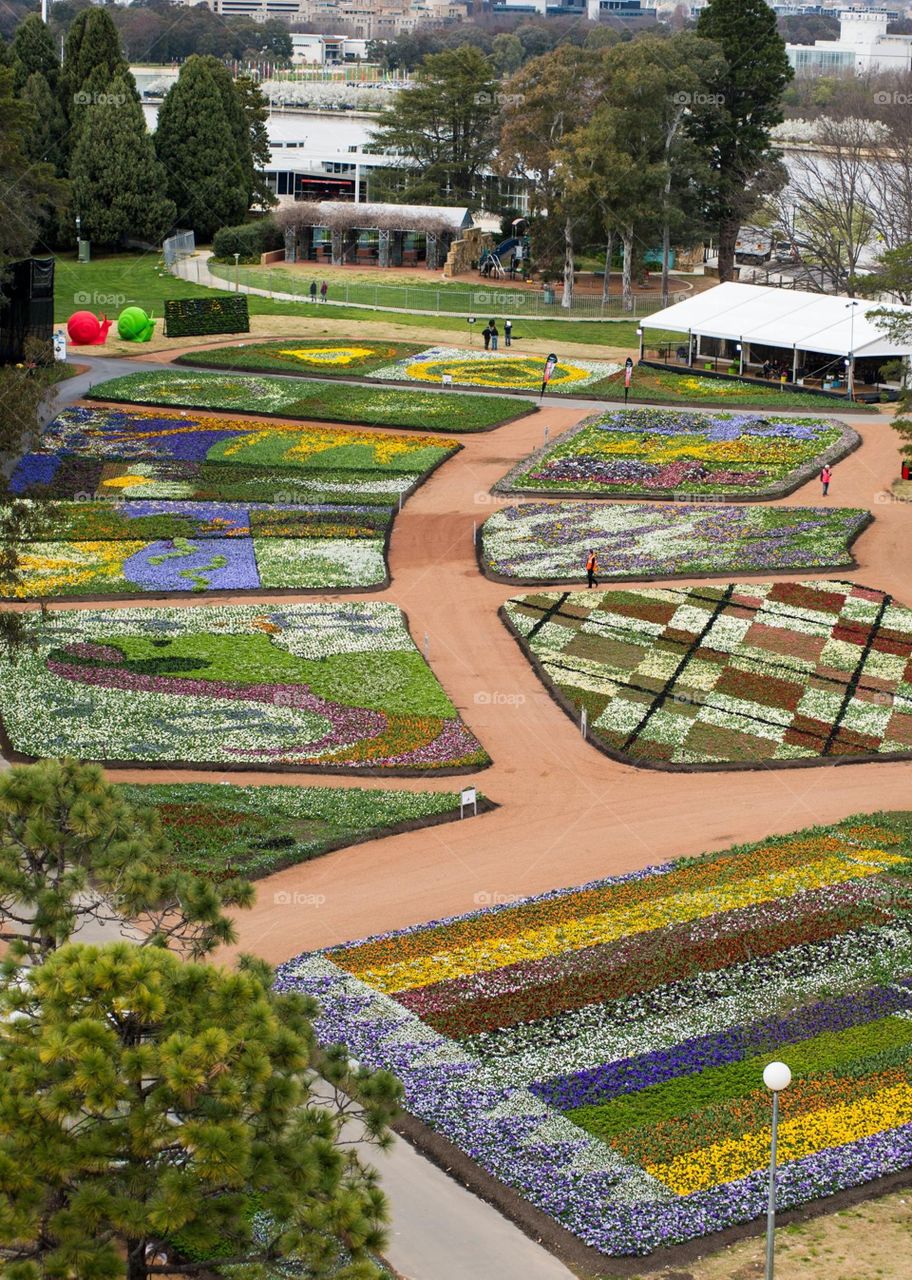 Clash of the beautiful garden colours 