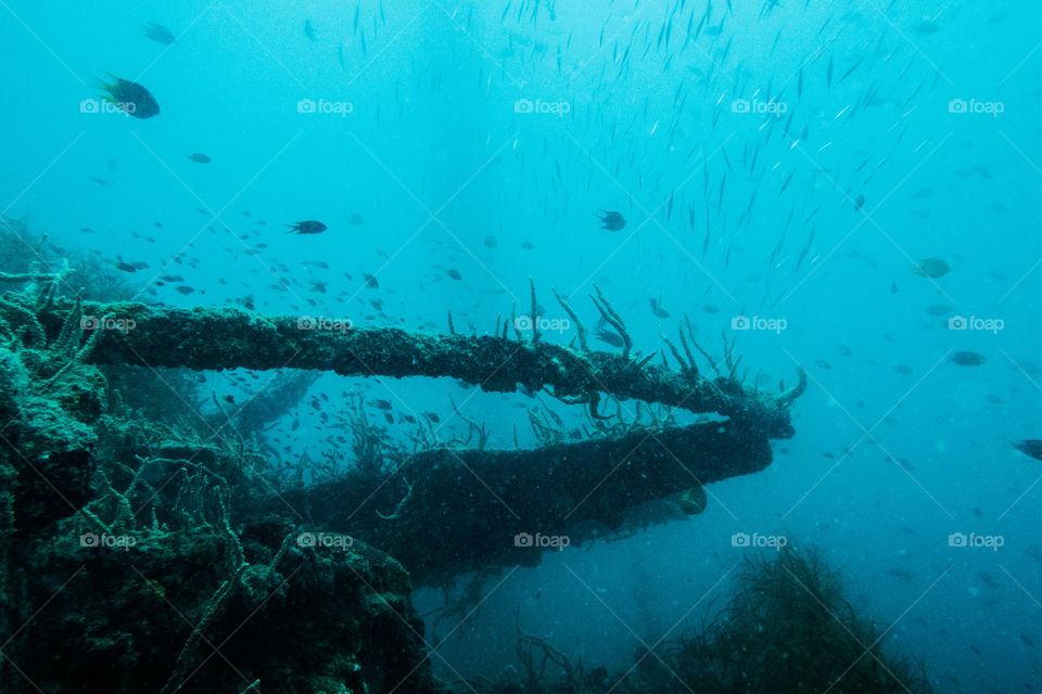 Wreck Diving in Coron Philippines 