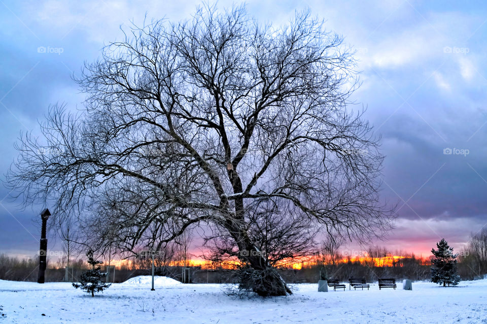 winter sunset