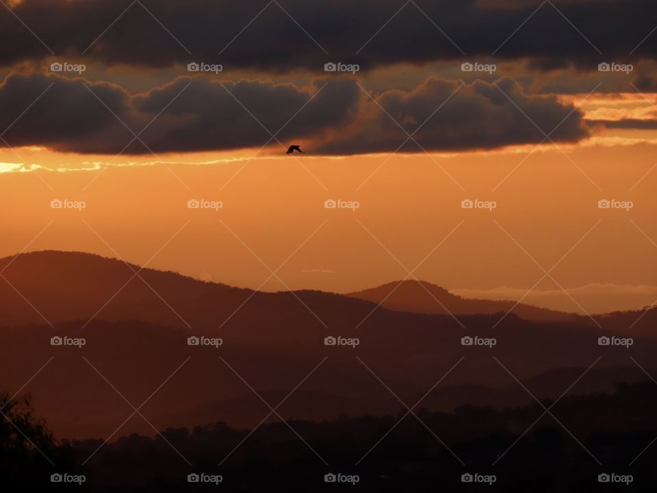 Beautiful sunset across mountains with a bird flying amongst the clouds.