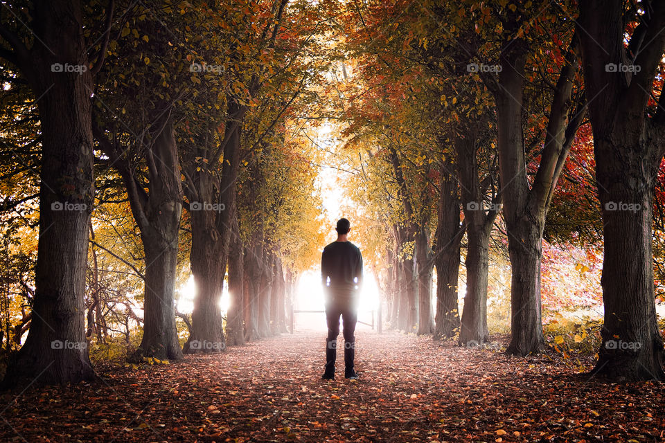 Rear view of a man standing in forest during autumn