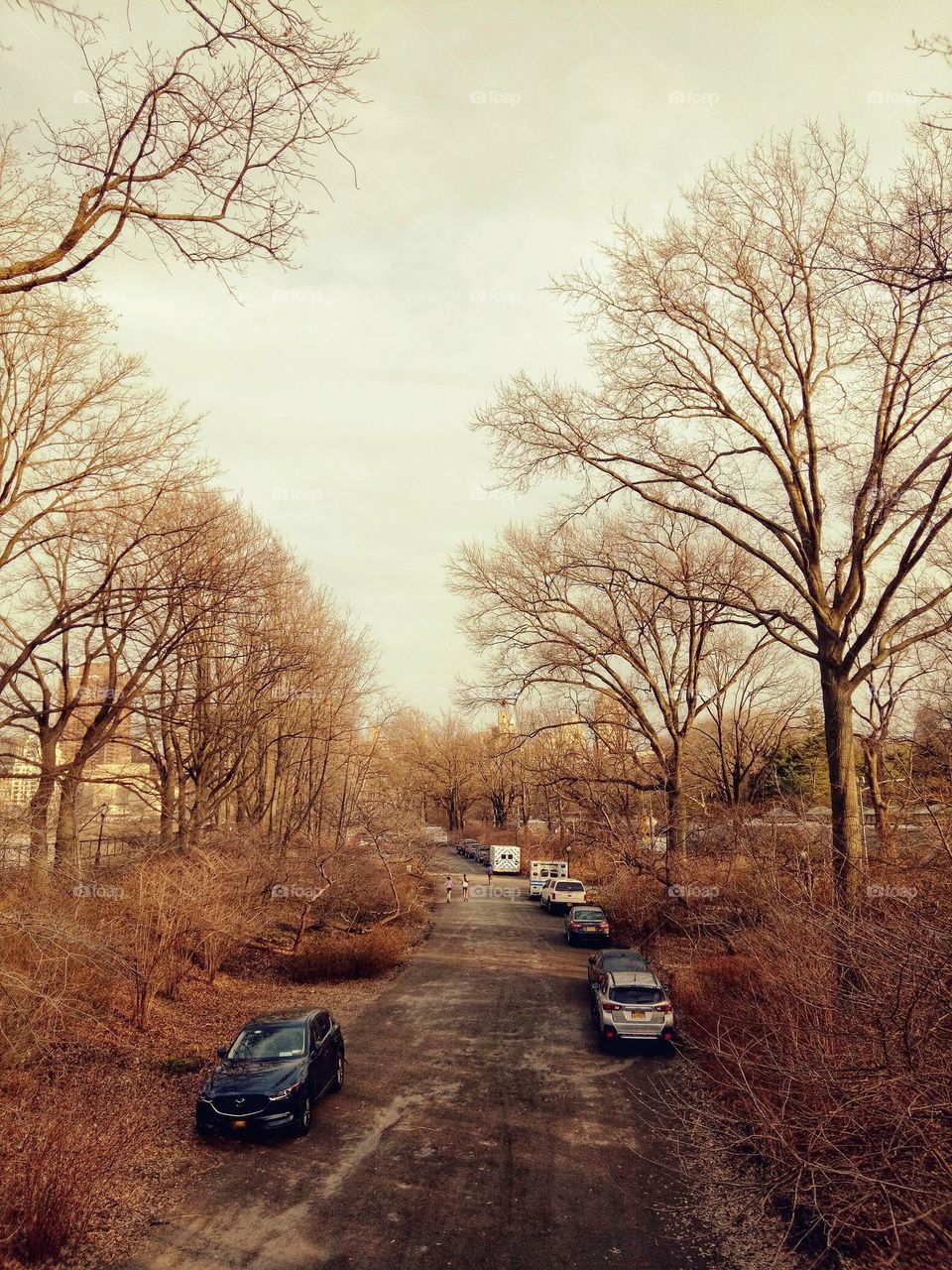 Parking cars in Central Park