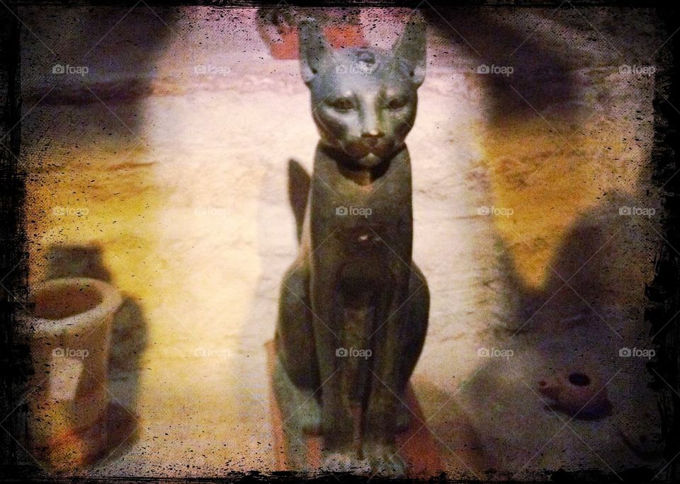 Egyptian Cat
