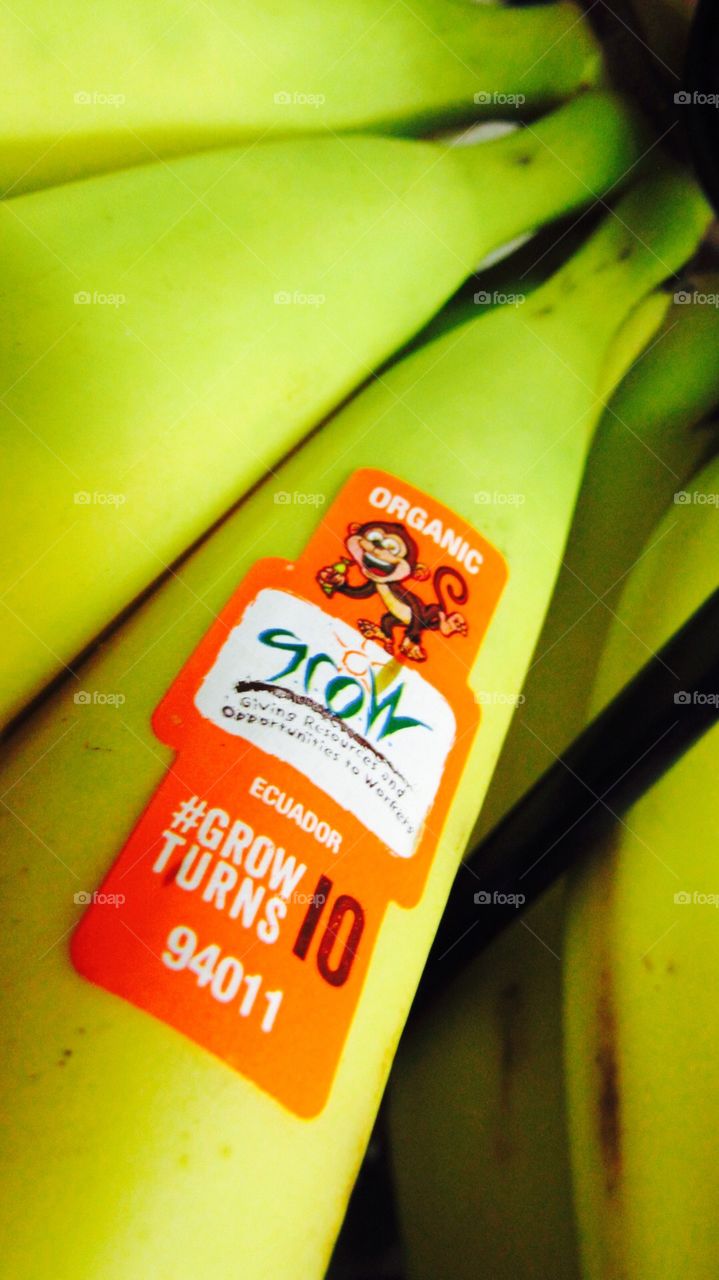 Organic bananas 