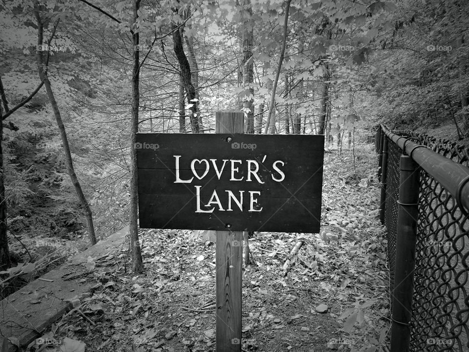 Lovers Lane