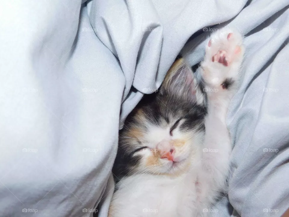 Raise ur hand if ur ready 4 the wknd!