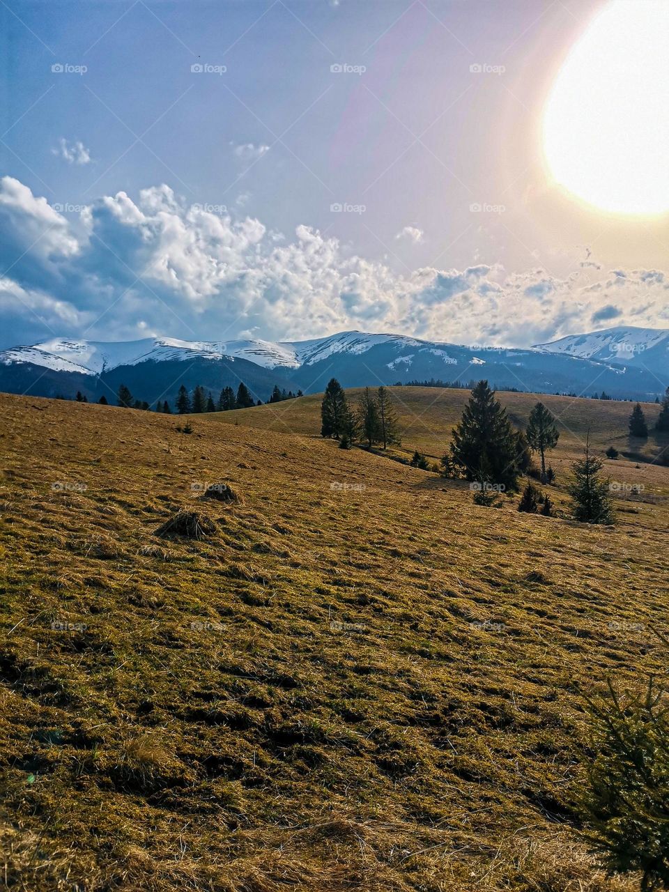Full of golden sunshine spring day on a mountain hill with gorgeous landscape and nature