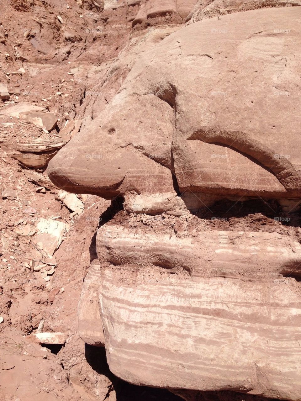 face usa nose rock by babie