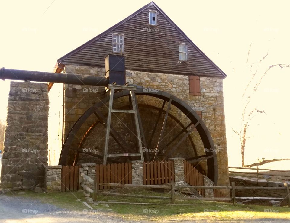 The Watermill in Spring