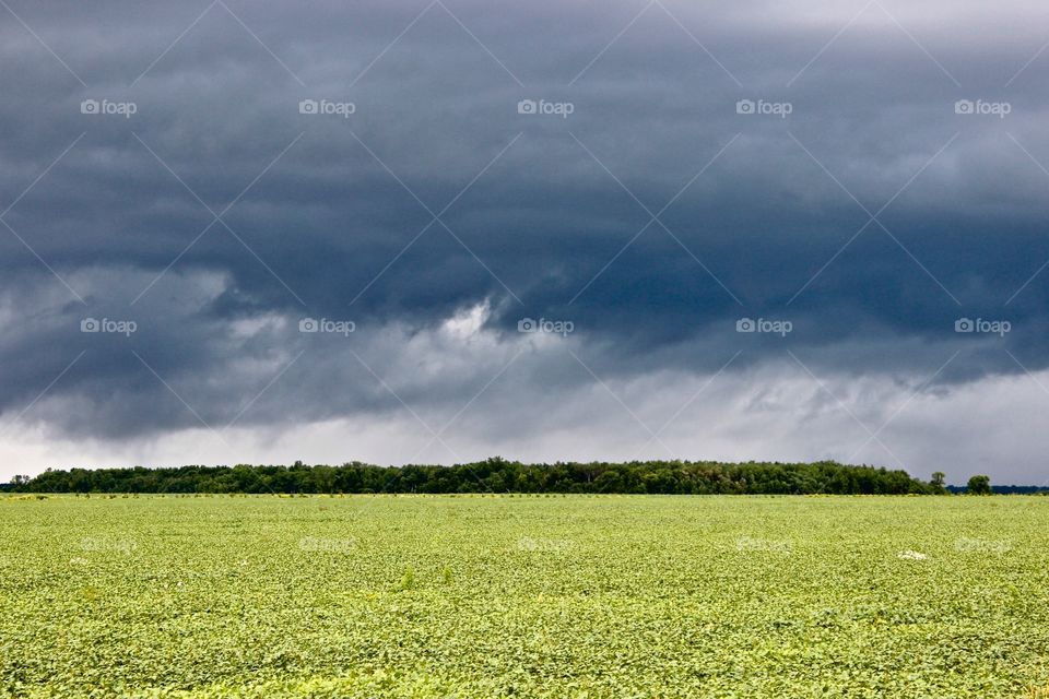 Summer storm.