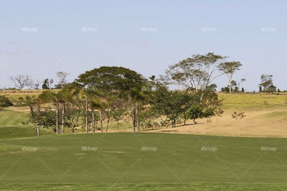 Golf course