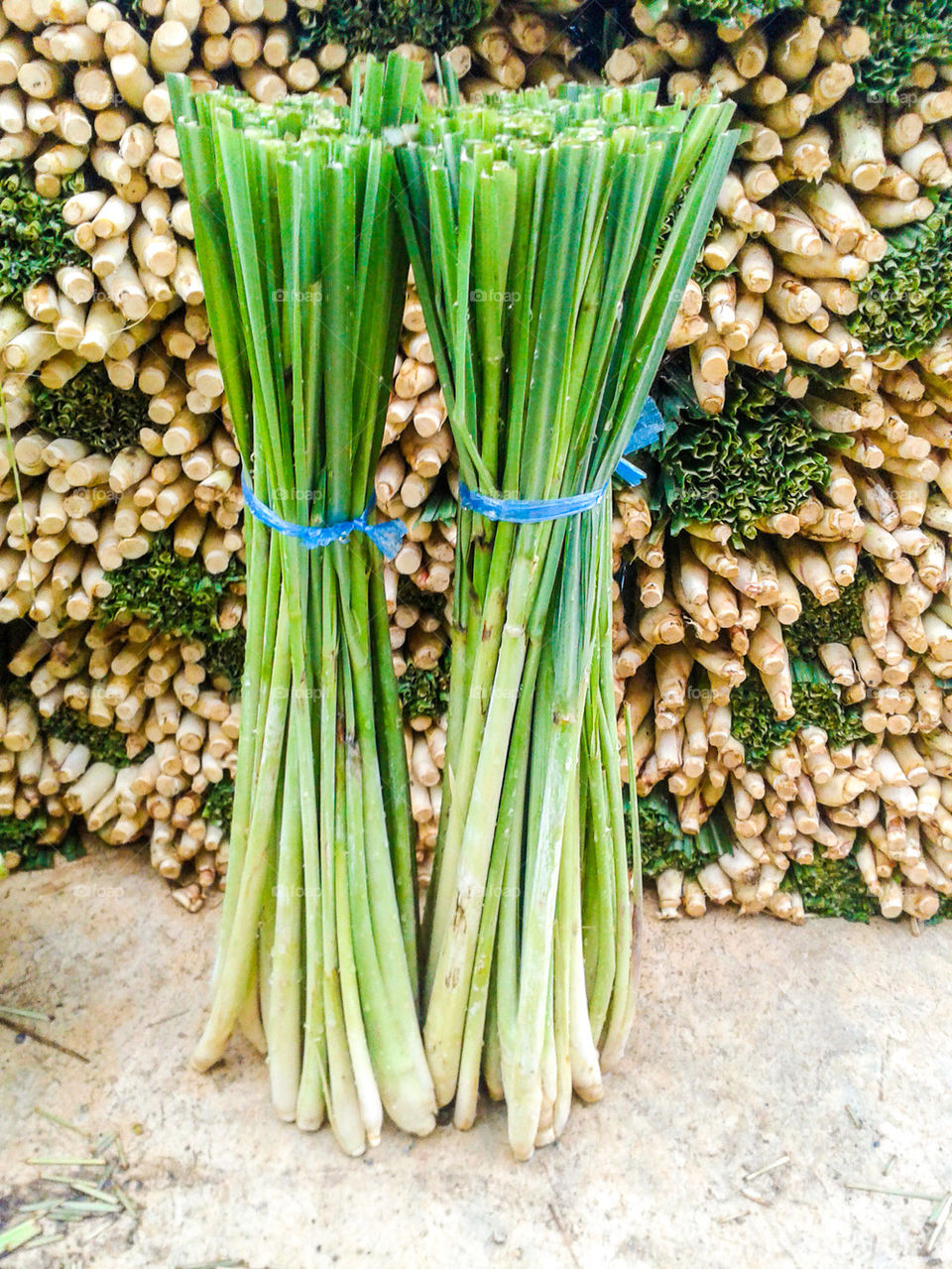 lemon grass
