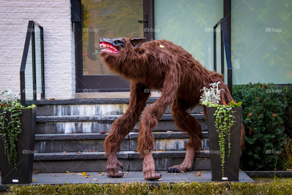 Scary brown beast - Halloween decoration