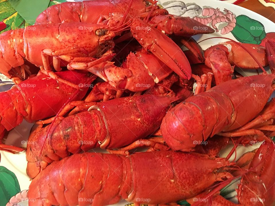 Cooked red lobsters closeup