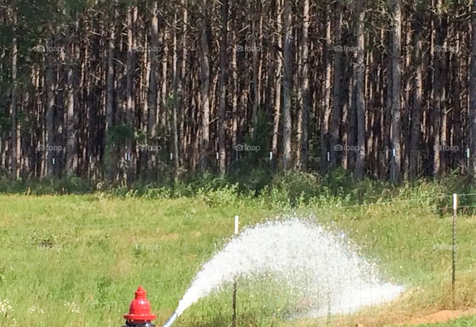 Spraying fire hydrant 