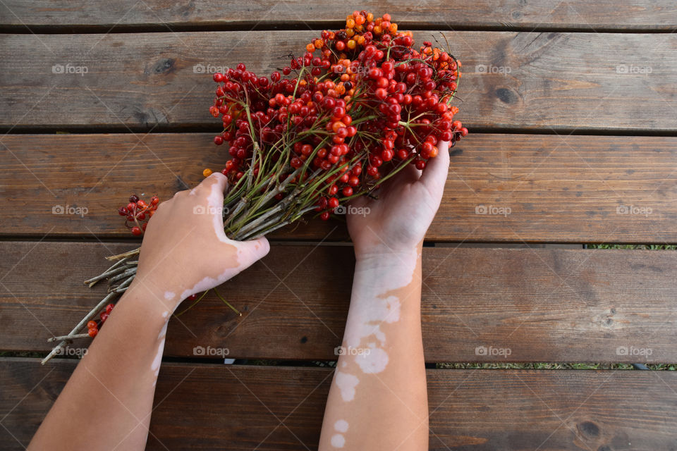 Viburnum plant berries on the table