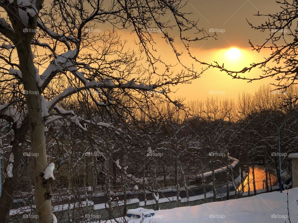 A golden road, falling in love with the golden sun.
Which one is genuine gold?
Moments, melting away in an instant, are elixirs of life, turning the sun, roads, …. and us into gold. Let's cherish every second.