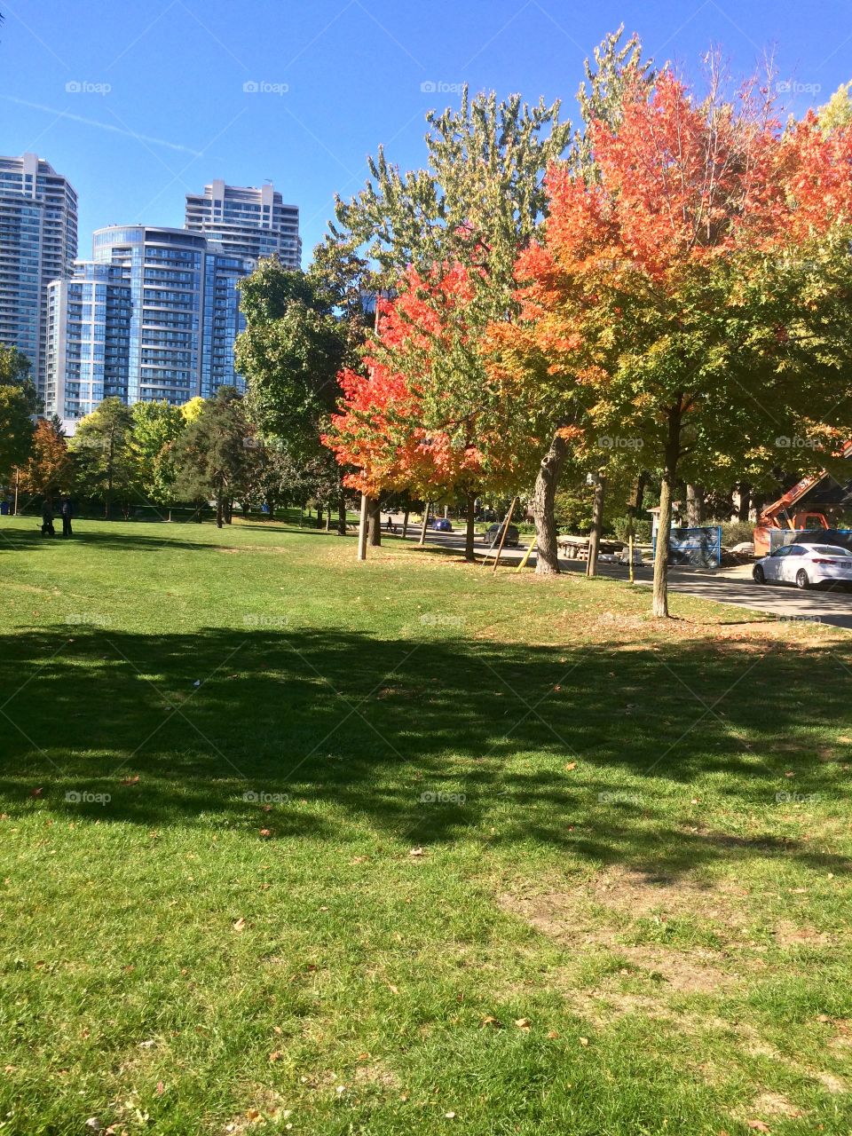 Beautiful Autumn ,Canada