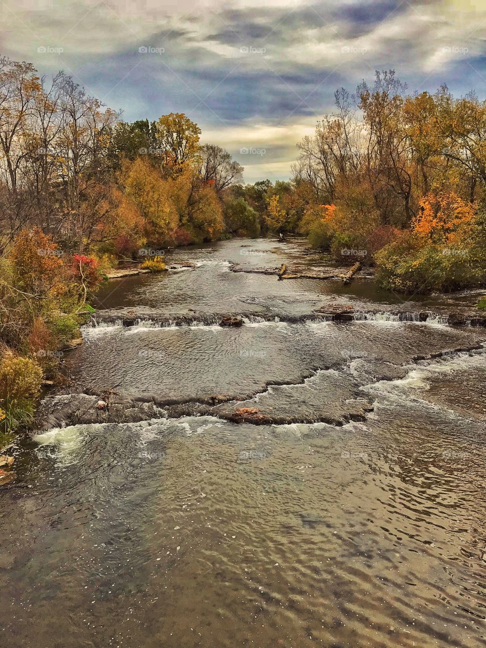 Ellicott creek fall foliage