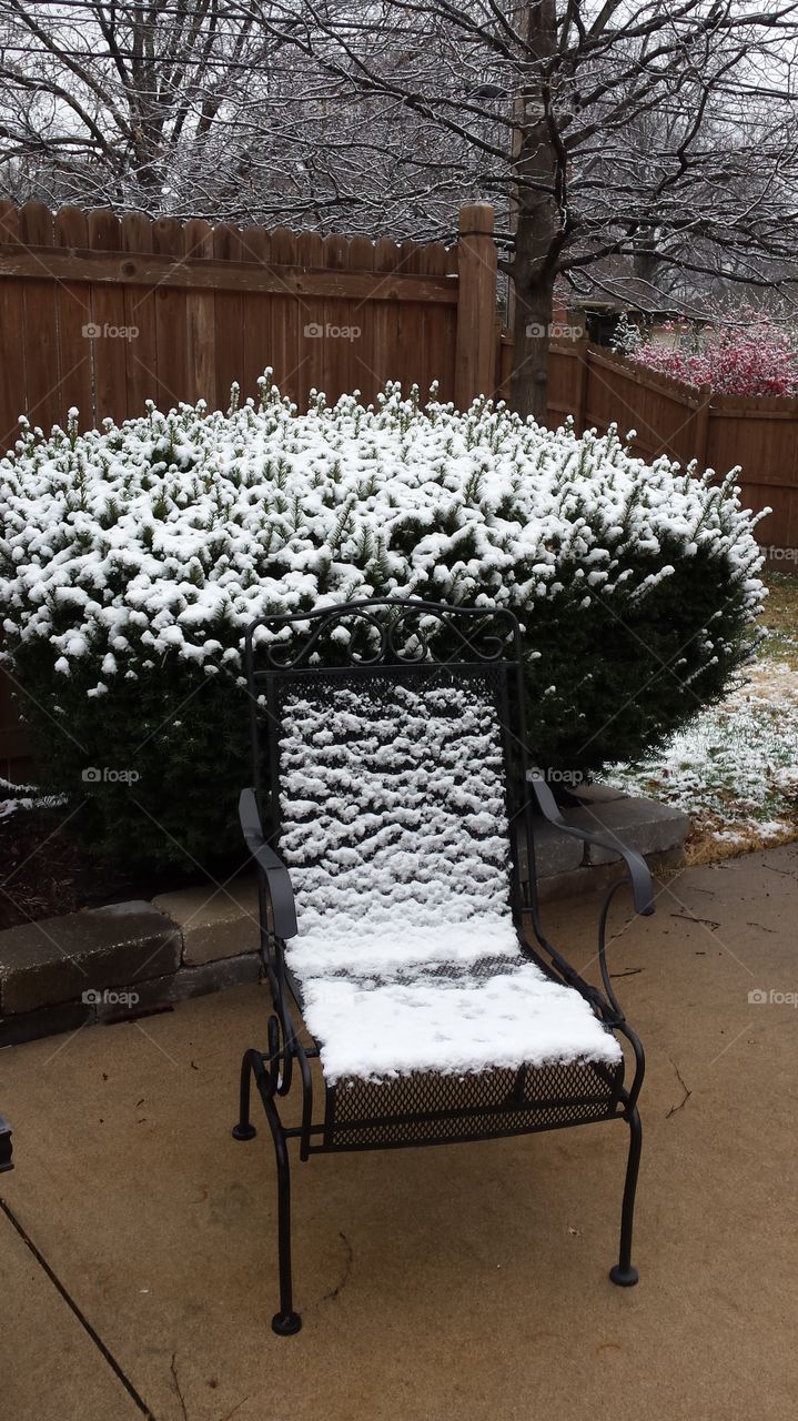 patio chair and bushes snow