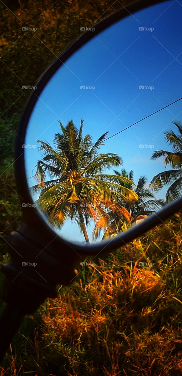 nature's beauty captured in mirror