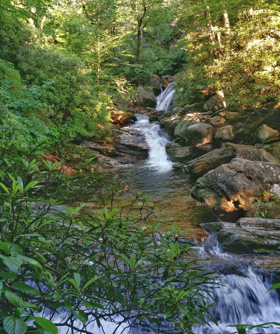 Blue Ridge Mountains Waterfall. A beautiful waterfall hidden deep in a forest of the Blue Ridge Mountains