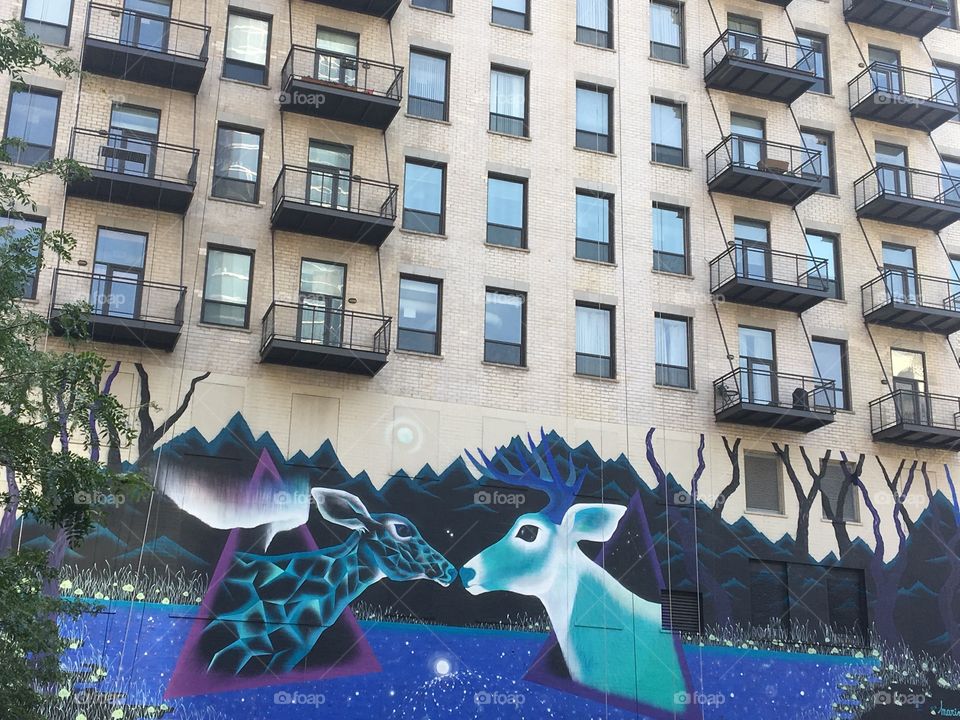 Mural , street art in Chicago