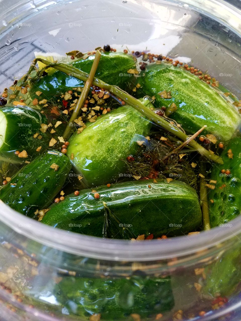 Homemade Dill Cucumbers ready to eat, seasonings floating in salted dill liquid.