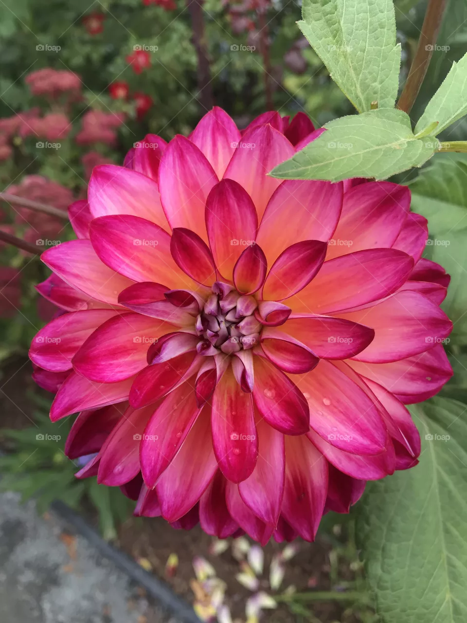Pretty