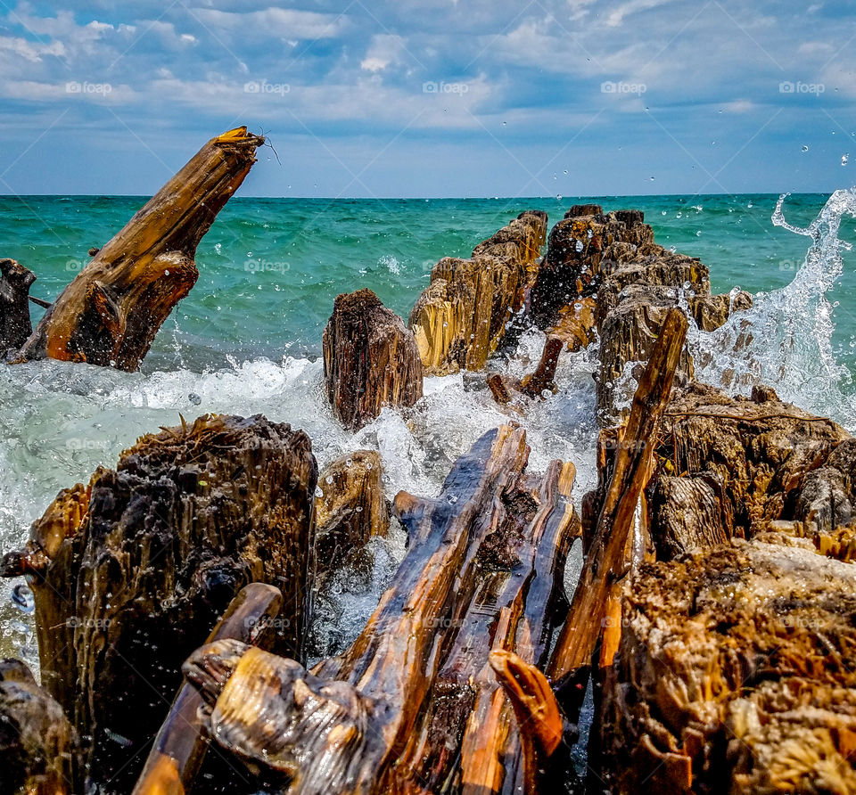 crashing wave over old log