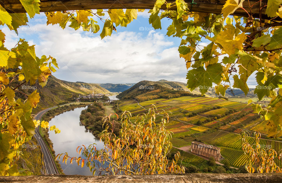 Moselle river and Vineyards in Autumn colors 