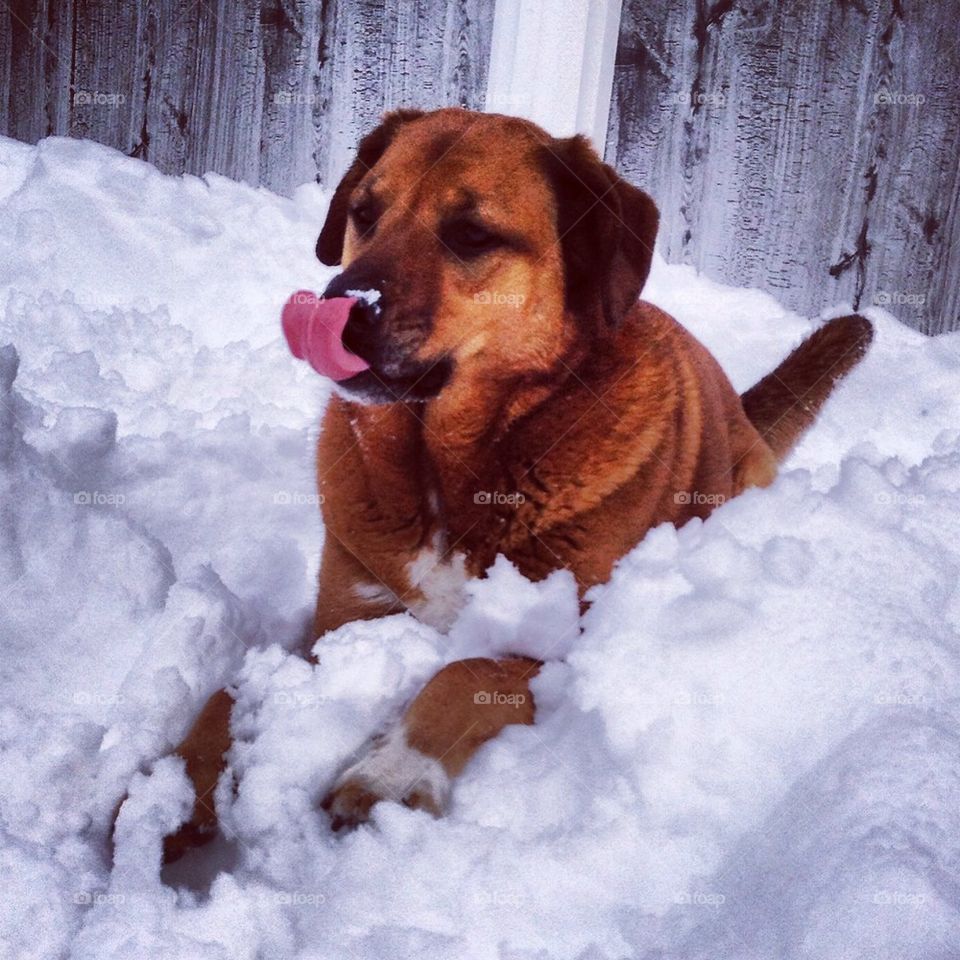 Catching snowflakes ❄️