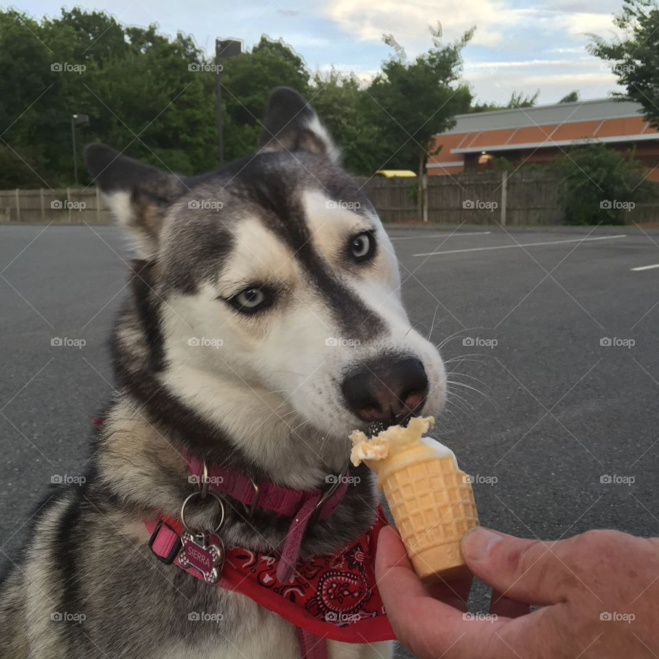 Summertime ice cream