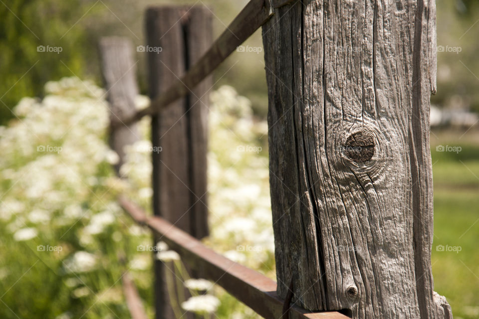 Countryside 