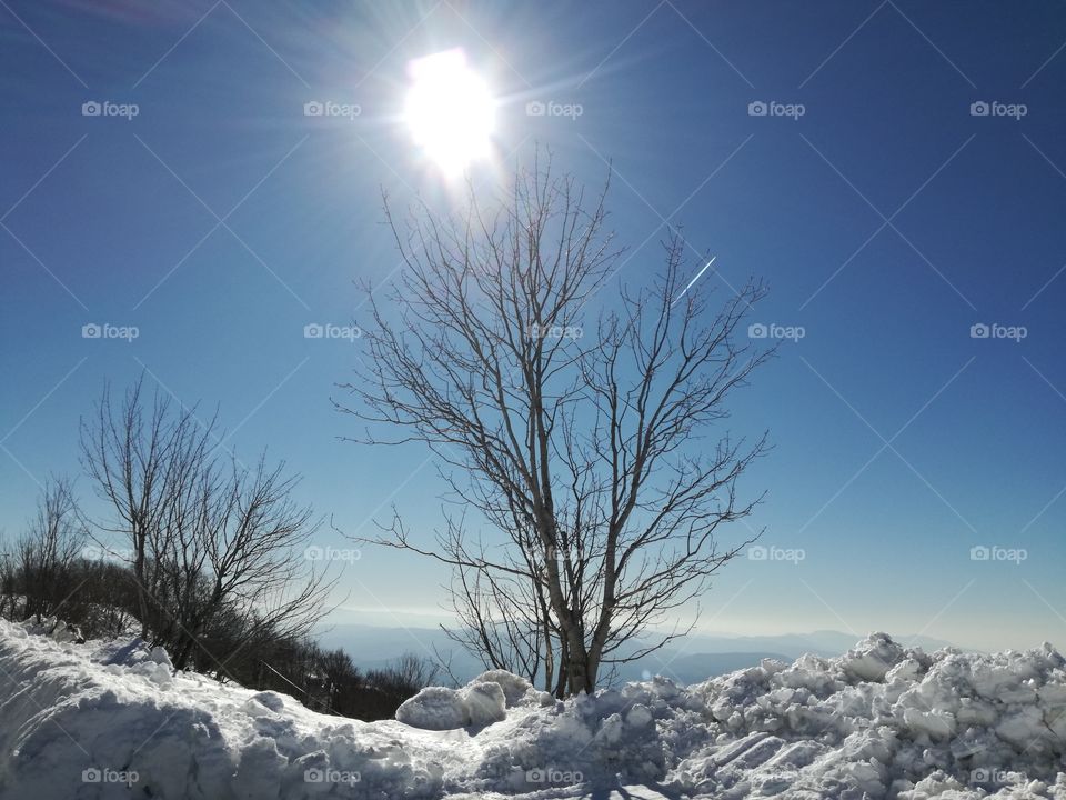 Sun and snow. Wonderful life